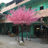 5米桃花树