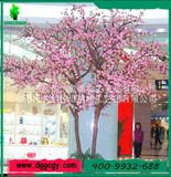 雙子櫻花樹-4m高