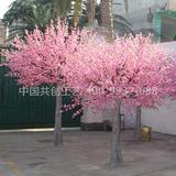 室外樱花树