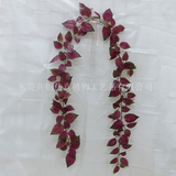 紫苏藤条  植物墙